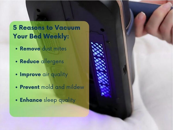 PureOasis™ - Portable Vacuum for Mites - districtoasis -