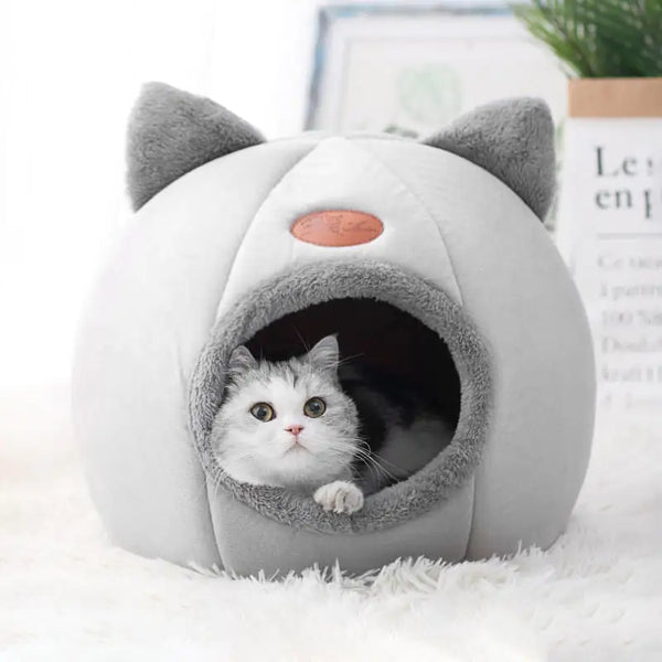 PurrNest™ Cozy Haven Cat Bed - districtoasis -